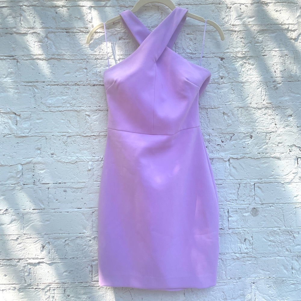 Carolyn Likely Dress in Wisteria